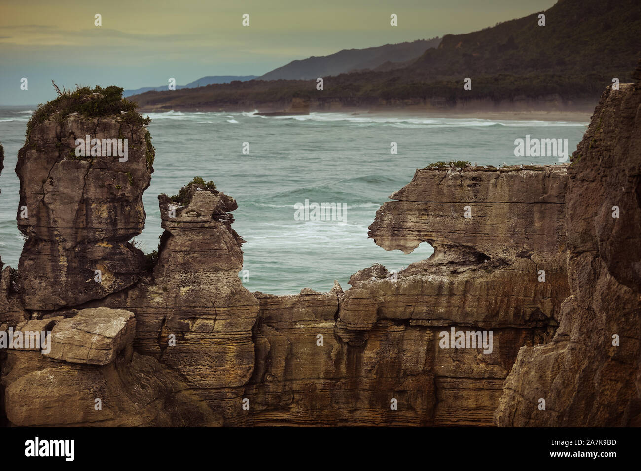 Pancake Rocks Nouvelle Zélande Banque D'Images