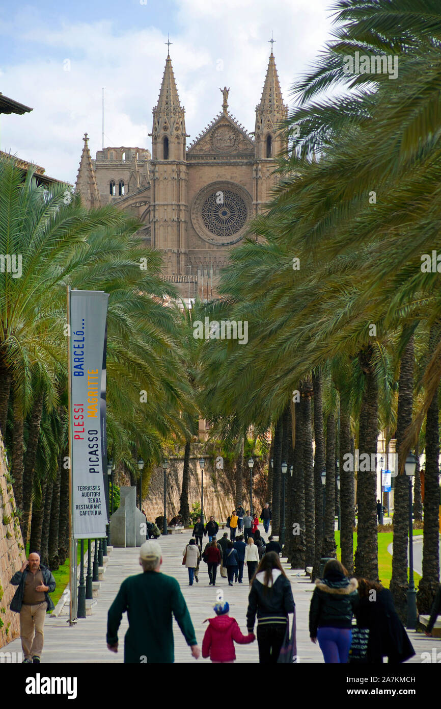 La cathédrale La Seu, monument de Palma, Palma de Mallorca, Majorque, îles Baléares, Espagne Banque D'Images