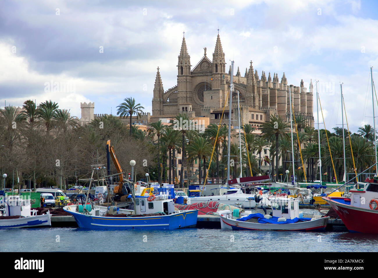 Bateaux de pêche en face de la cathédrale La Seu, port de Palma, Palma de Mallorca, Majorque, îles Baléares, Espagne Banque D'Images