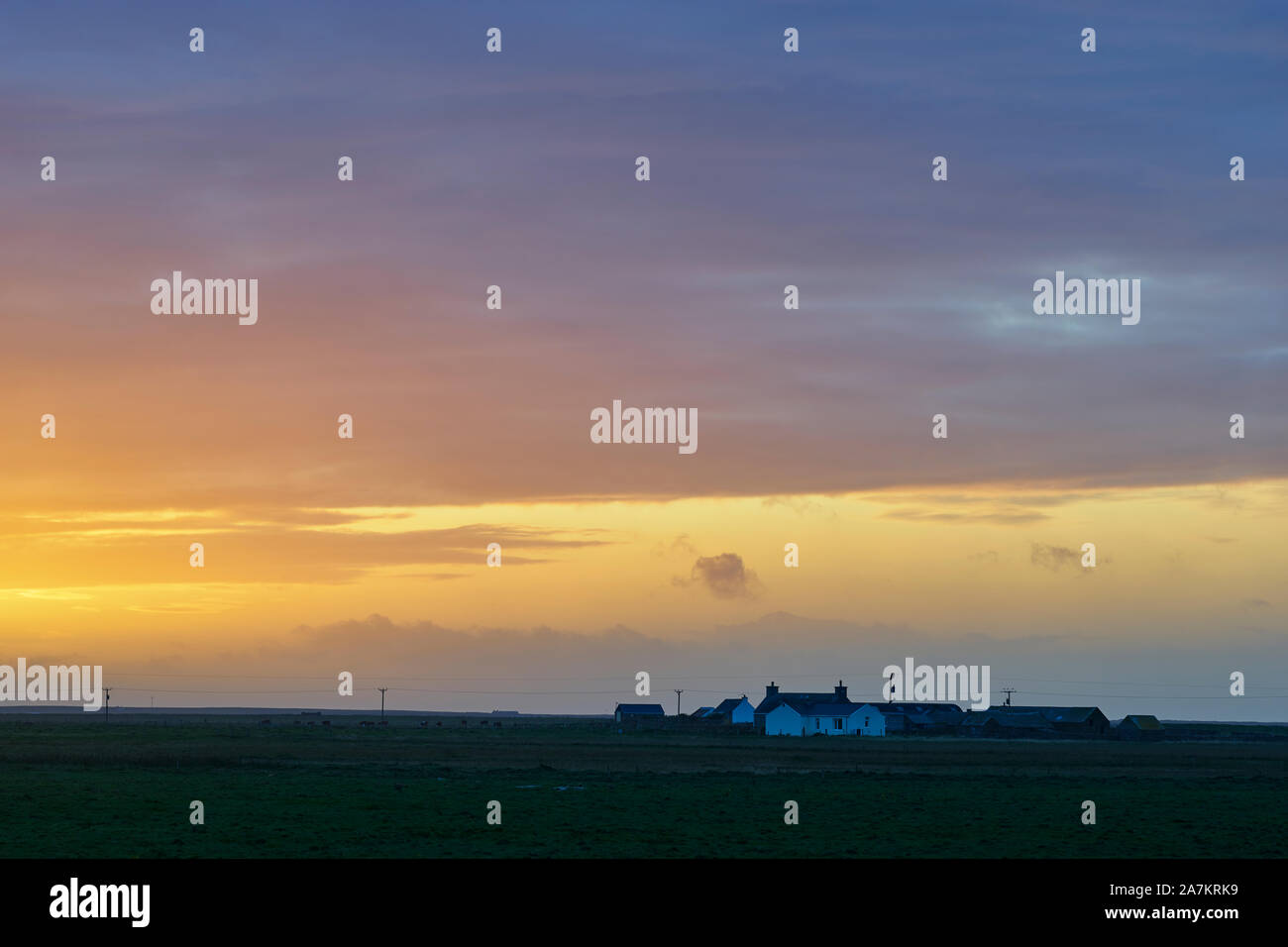 Scène de ferme au coucher du soleil, Rusness, Northwall, Sanday, Orkney, Scotland Banque D'Images