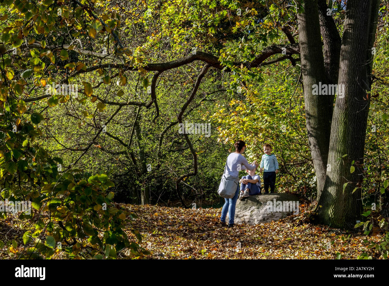 Une femme et deux enfants marchant dans Autumn City Park Falling Leaves Banque D'Images