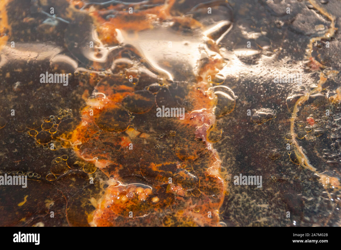 Une vue en gros plan d'un plateau de cuisson huileuse qui a ajouté à l'eau à essayer un aider à enlever la nourriture et de l'huile Banque D'Images