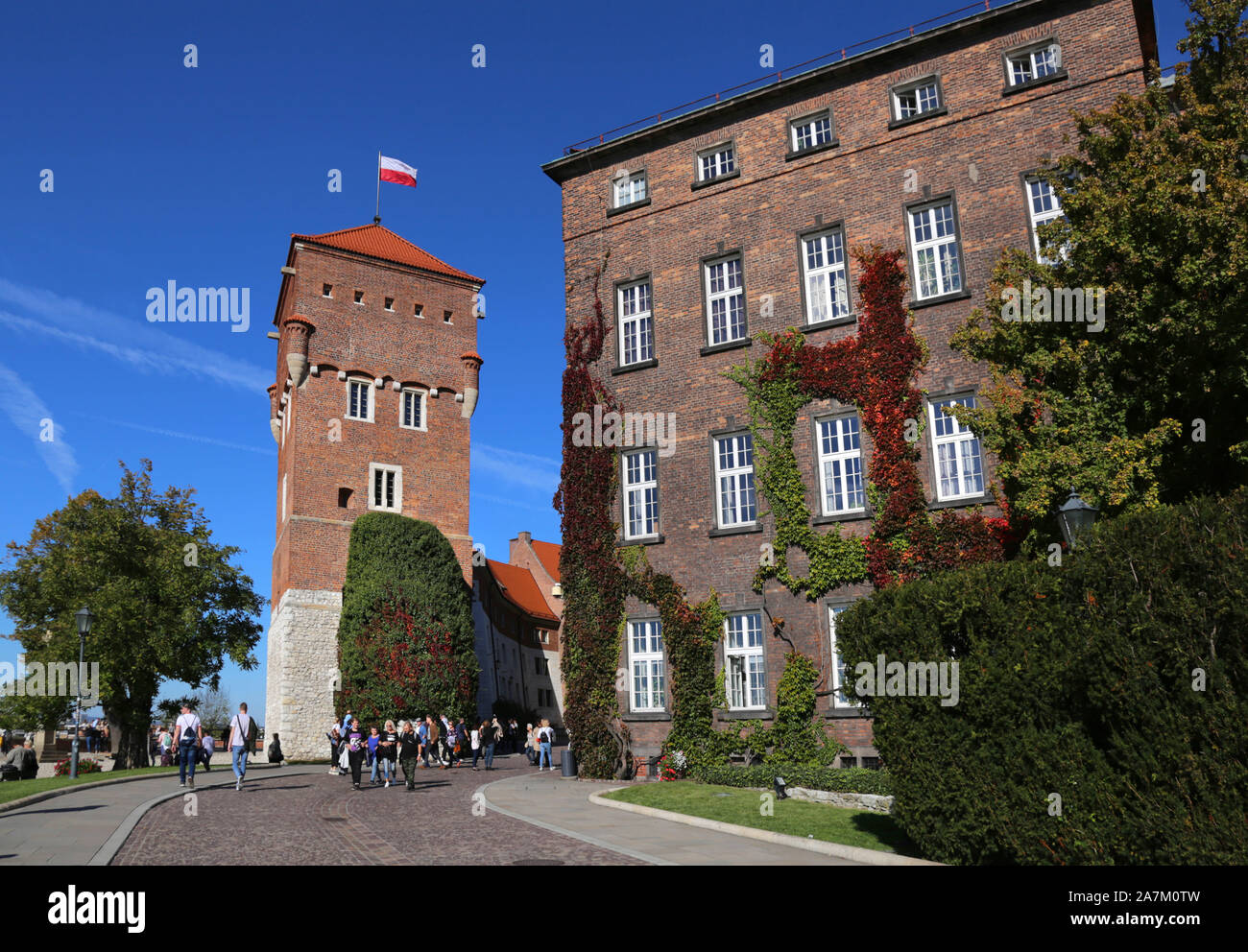 Cracovie. Cracovie. La Pologne. Le château royal de Wawel sur la colline de Wawel. Zlodziejska Baszta tower. Banque D'Images