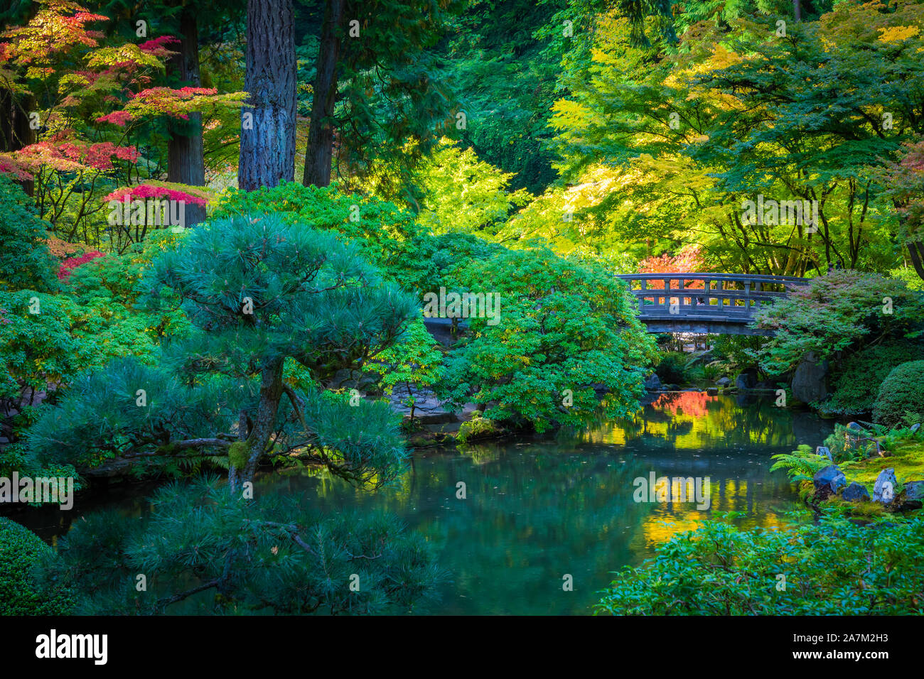Le jardin japonais de Portland est un jardin traditionnel japonais occupant 12 hectares, situé à l'intérieur de Washington Park des collines à l'ouest de Portland, Oregon Banque D'Images