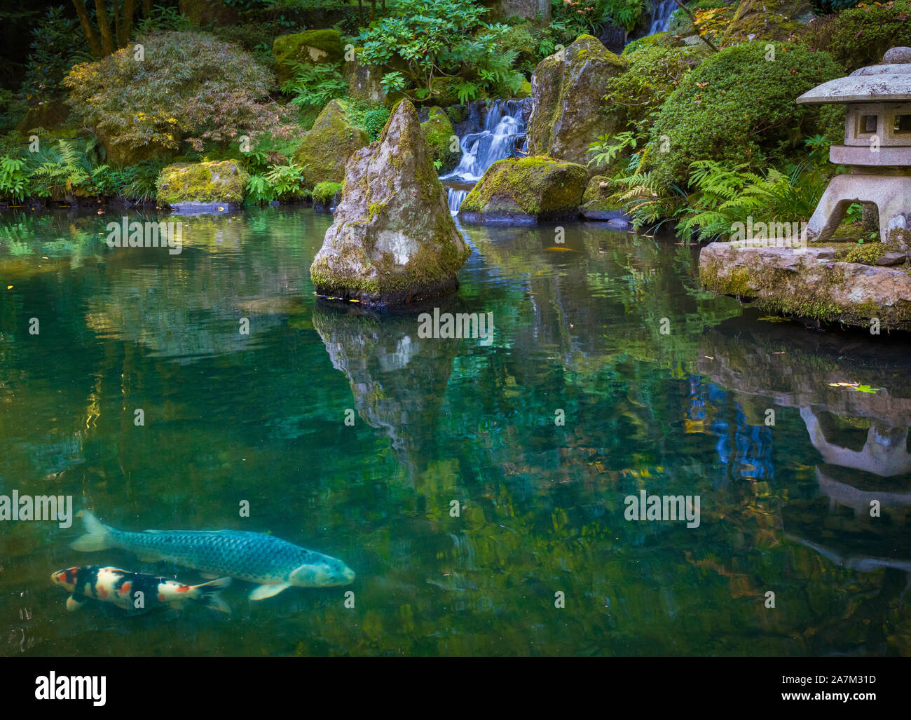 Le jardin japonais de Portland est un jardin traditionnel japonais occupant 12 hectares, situé à l'intérieur de Washington Park des collines à l'ouest de Portland, Oregon Banque D'Images