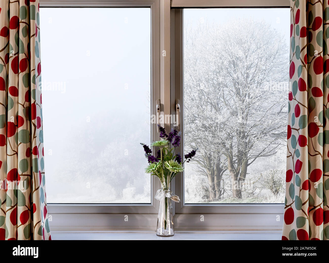 Bien qu'à une fenêtre sur une neige hivers et freexing d'arbres couverts de brouillard. Scène d'un milieu rural dans le pays d'accueil Banque D'Images