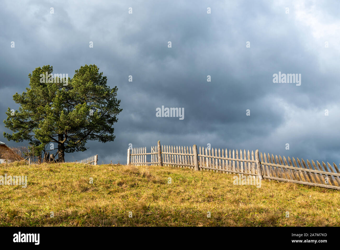 Paysage avec lonely tree village avec l'escrime et le ciel d'orage sombre Banque D'Images