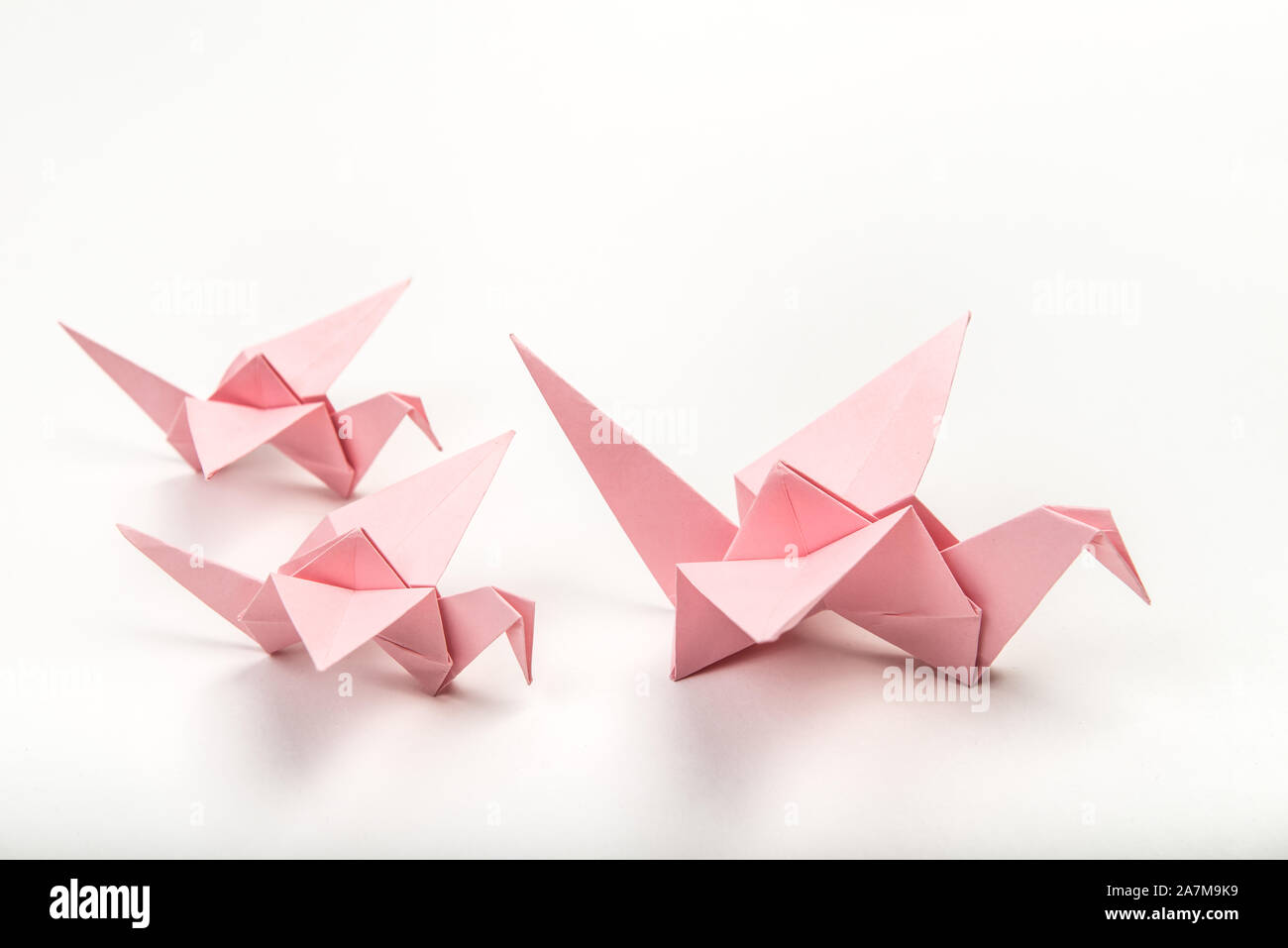 Famille d'oiseaux Origami sur fond blanc. Papier plié japonais swan Banque D'Images