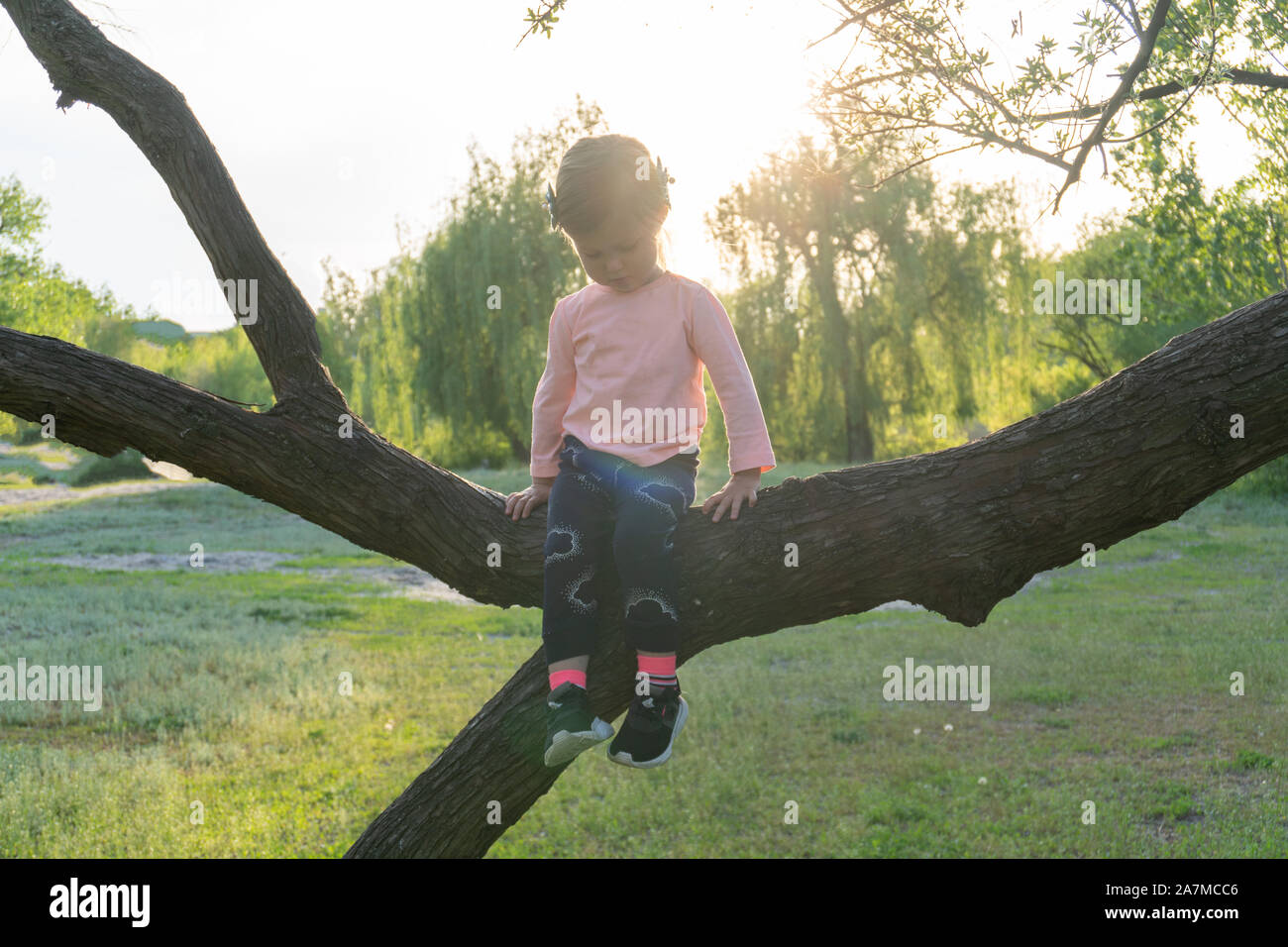 Petite fille douce assis sur une branche d'arbre Banque D'Images