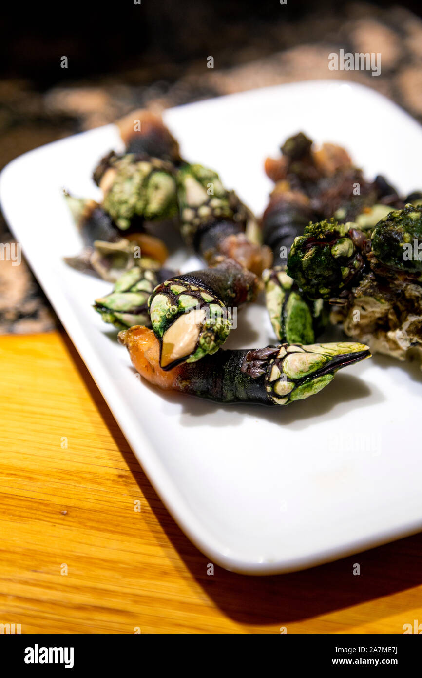 Goose barnacles bar à pintxos Ganbara à San Sebastian, Espagne Banque D'Images