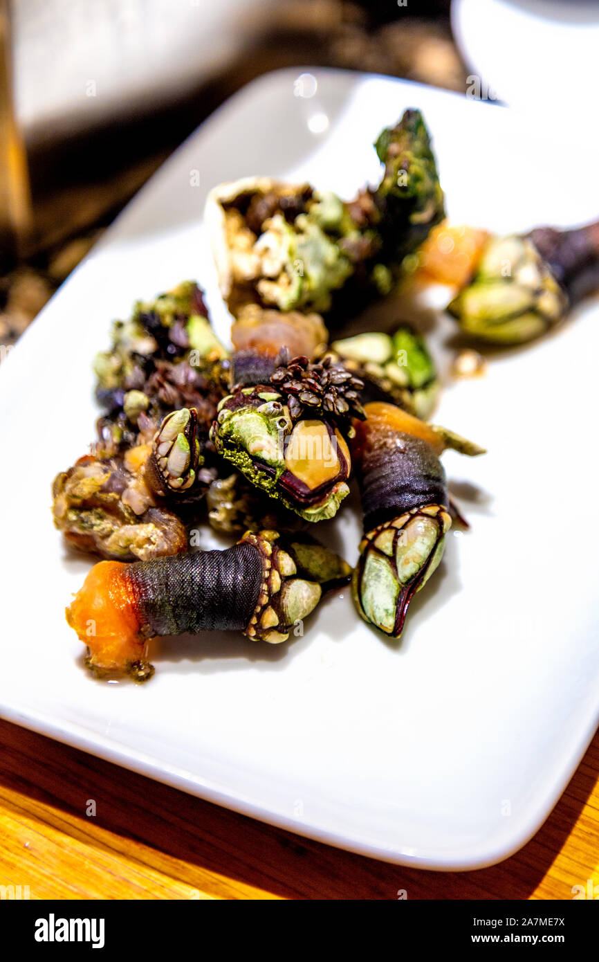Goose barnacles bar à pintxos Ganbara à San Sebastian, Espagne Banque D'Images