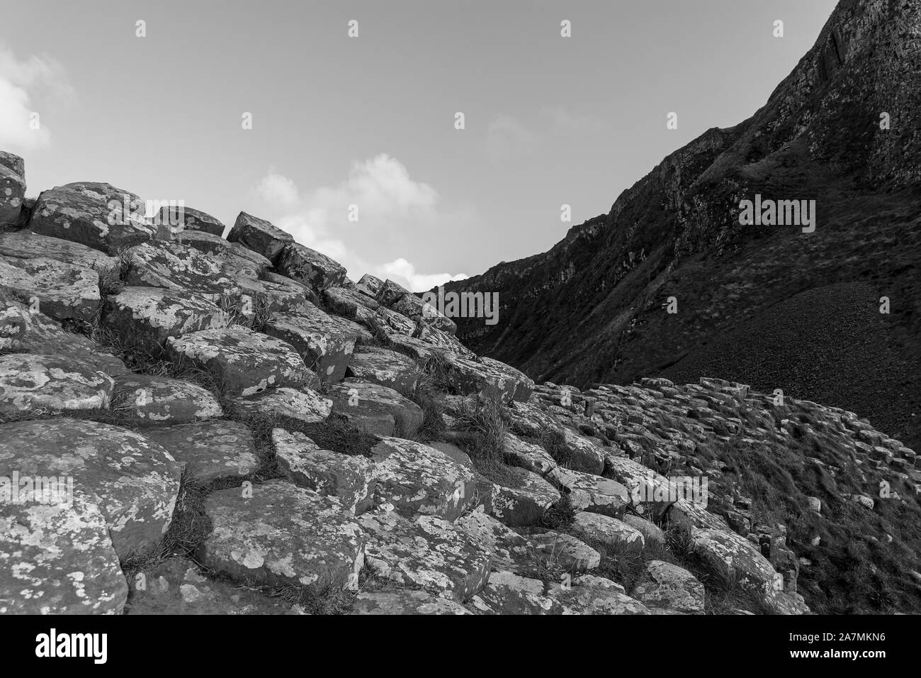 Giant's Causeway vue de l'après-midi, Nord de l'Irlande, Royaume-Uni Banque D'Images