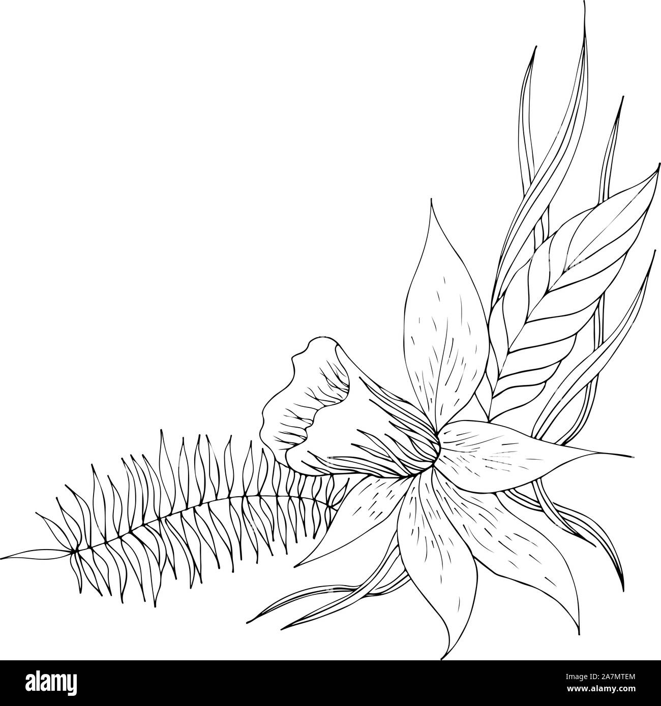 Dessinés à la main, gravée abstract orchid. Fleurs rétro contour main orchidée, grande conception pour tout usage. Contours vecteur. Arrière-plan de la nature. Scieries de pla Illustration de Vecteur