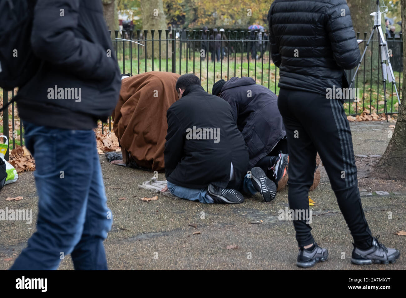 Londres, Royaume-Uni. 3 novembre, 2019. Les musulmans prendre midi-prière au coin des orateurs, la parole en public nord-est de Hyde Park. Crédit : Guy Josse/Alamy Live News Banque D'Images