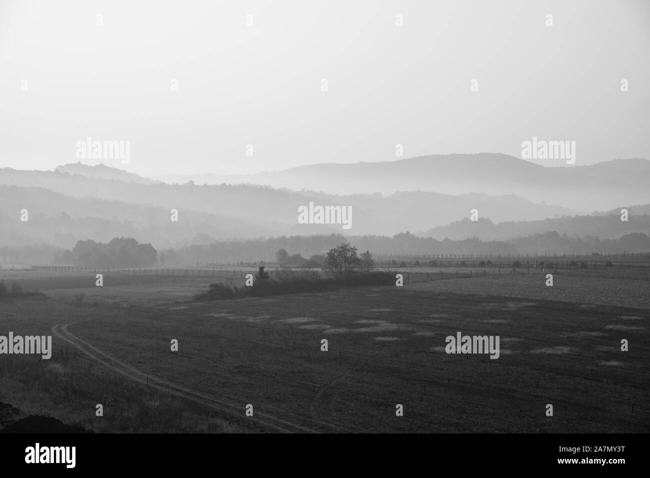 Belle campagne matin en noir et blanc avec du brouillard à travers les collines émergents Banque D'Images