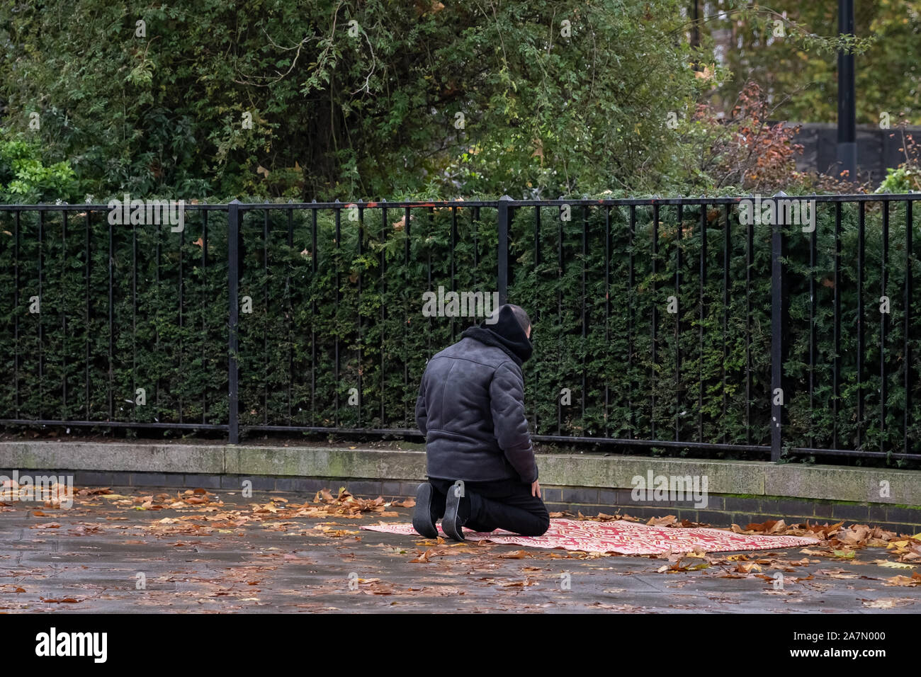 Londres, Royaume-Uni. 3 novembre, 2019. Les musulmans prendre midi-prière au coin des orateurs, la parole en public nord-est de Hyde Park. Crédit : Guy Josse/Alamy Live News Banque D'Images