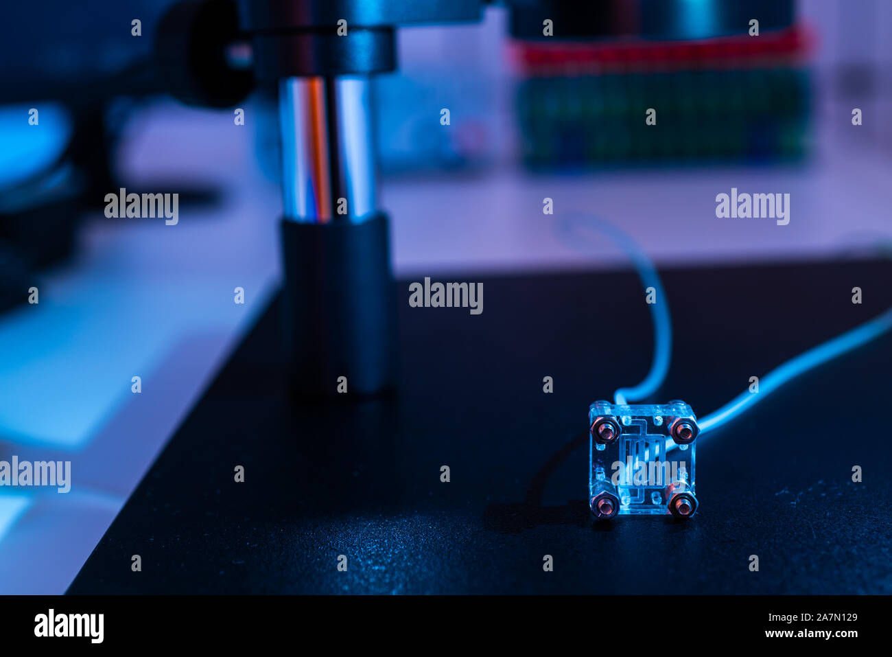 Organe-sur-puce (OOC) - dispositif microfluidique puce qui simule les organes biologiques c'est le type d'organes artificiels. Conception de prototypes de laboratoires sur puce Banque D'Images