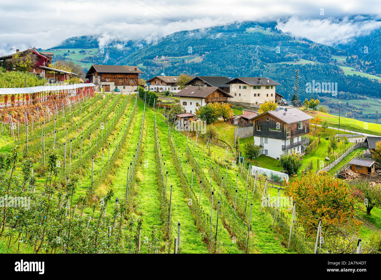 Vue d'automne idyllique près de Chiusa, Province de Bolzano, Trentin-Haut-Adige, Italie. Banque D'Images