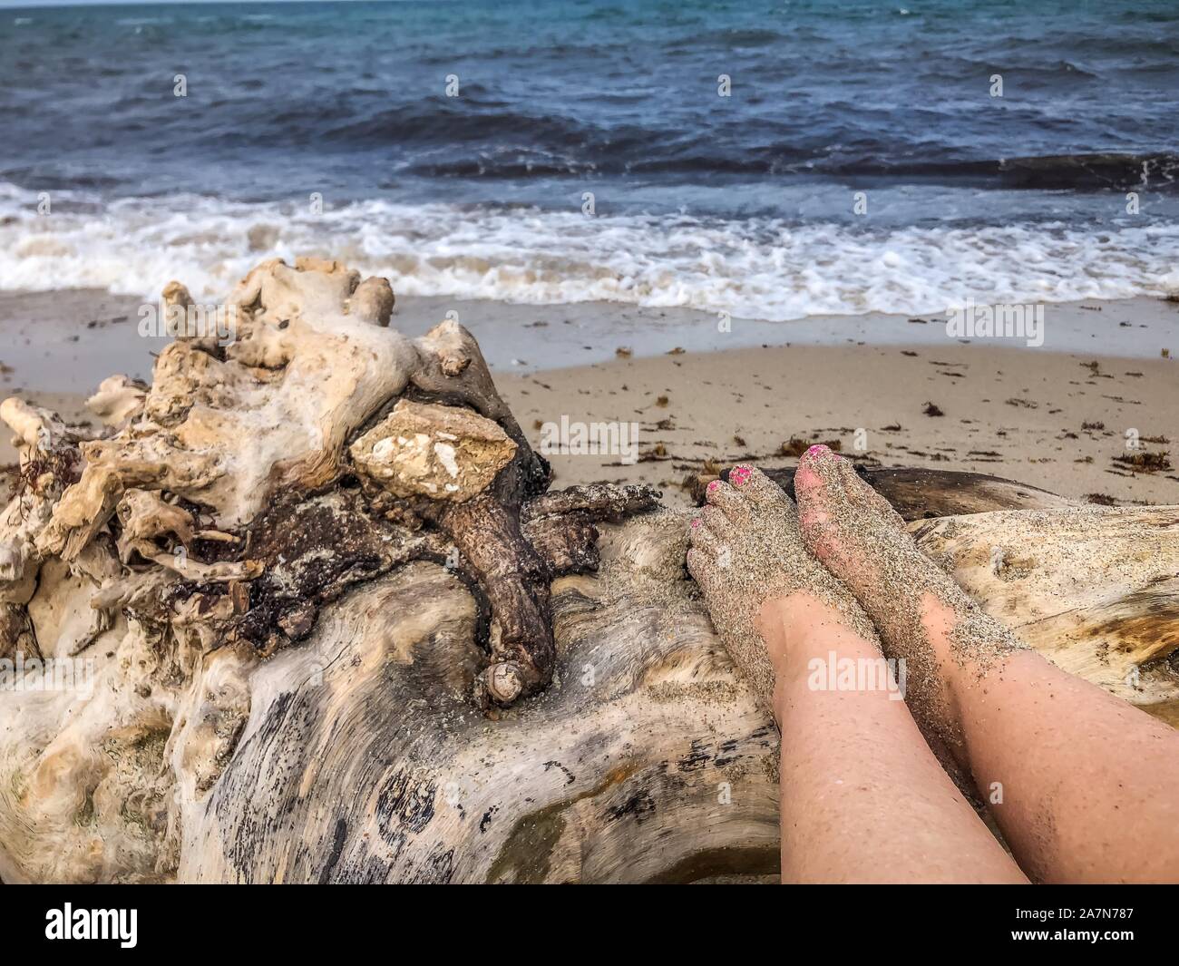 Le sud de la Floride - femme des pieds sur du bois flotté sur la plage Banque D'Images