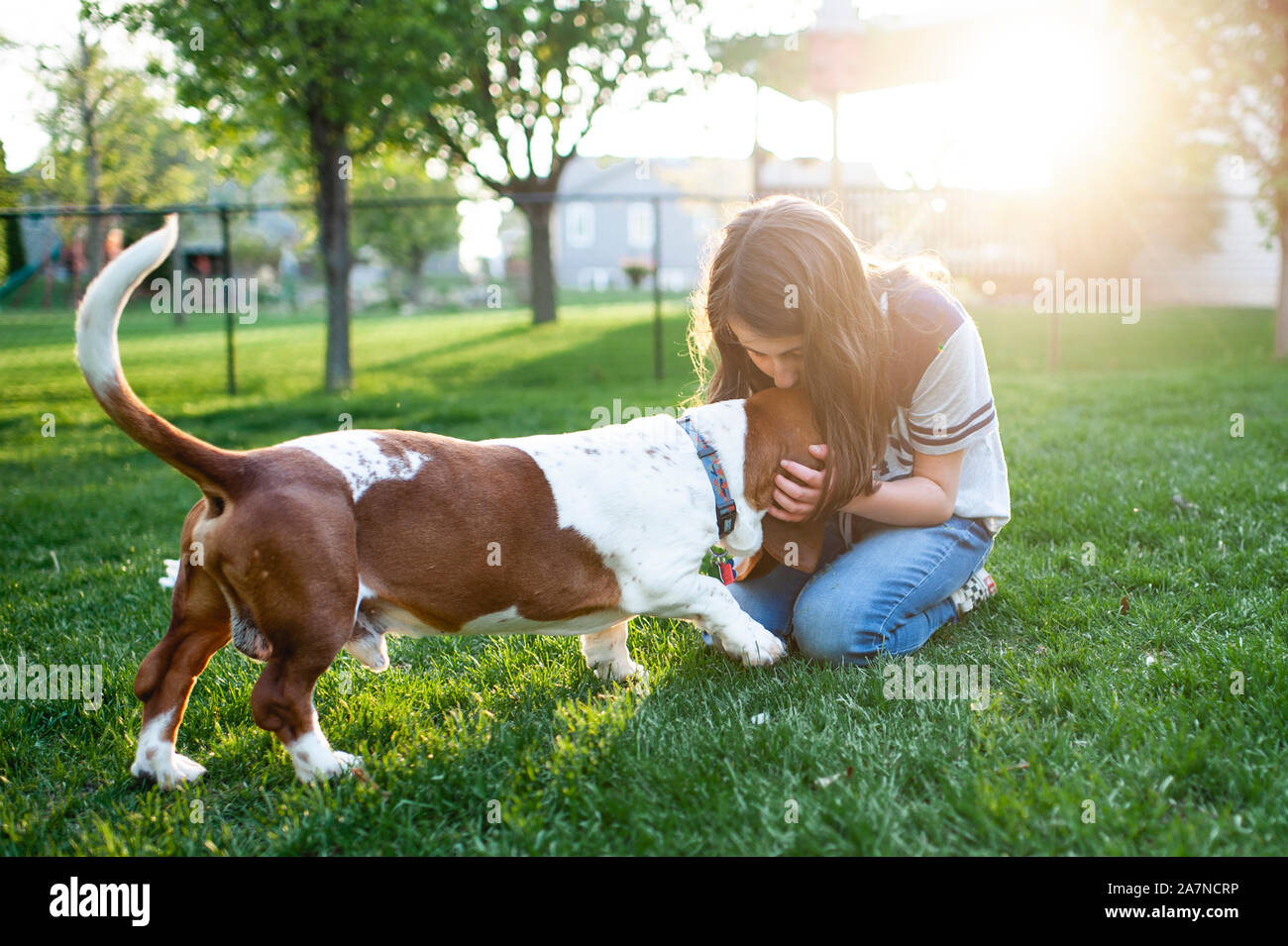 Le Tween girl kissing basset hound dog sur la tête dans l'herbe verte à la maison Banque D'Images