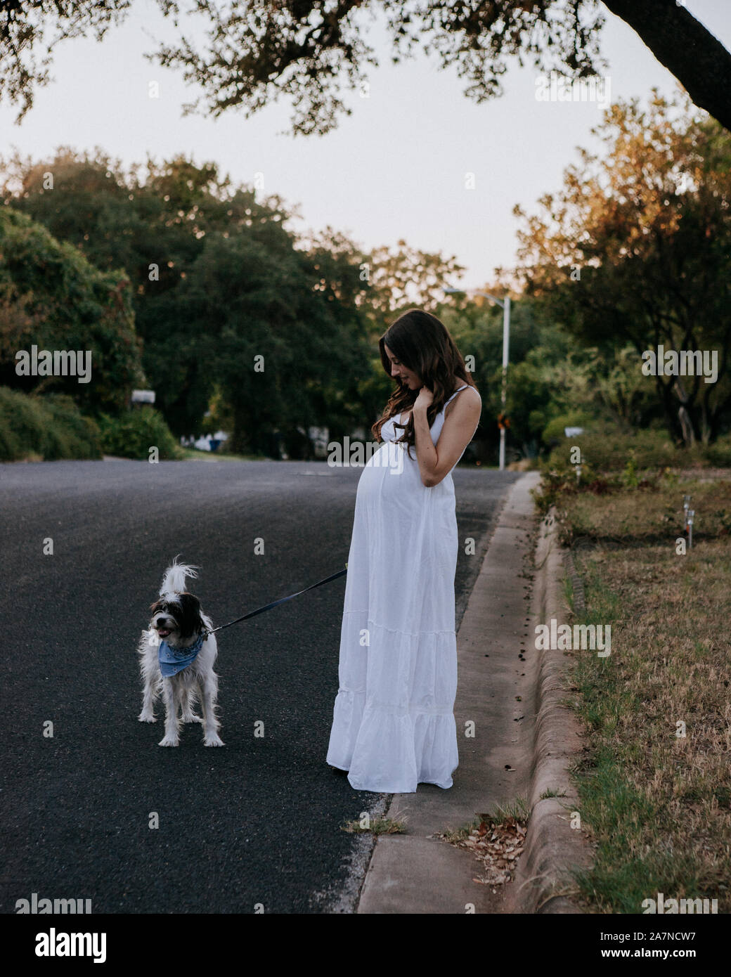 Femme enceinte robe blanche promener son chien Banque D'Images