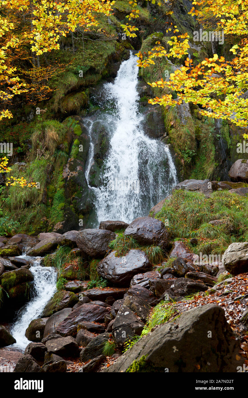 Cascade dans une forêt d'automne dans la vallée d'Aspe. Banque D'Images