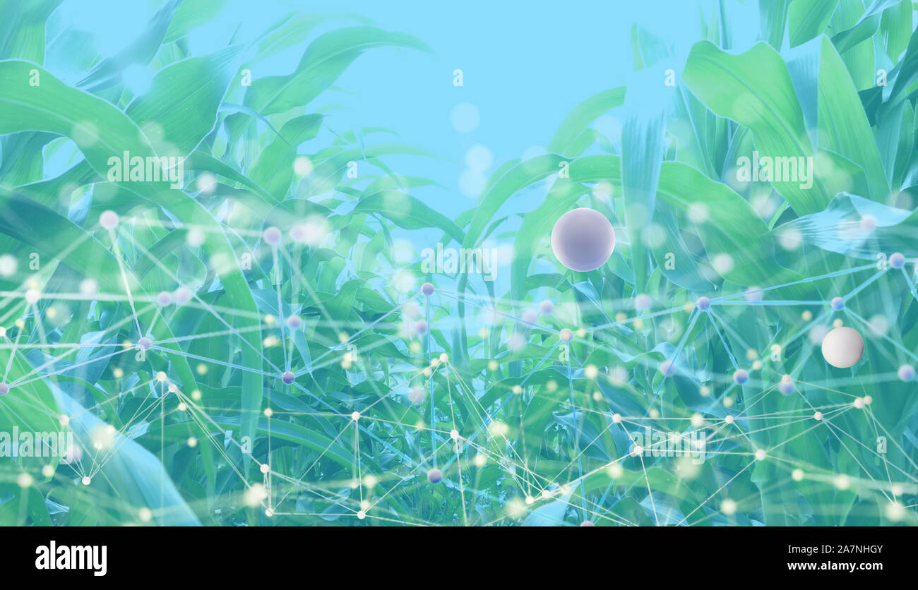 Concept de l'agriculture intelligente avec la machine, l'apprentissage en profondeur, la technologie de réseau neuronal, l'intelligence artificielle en réseau smart farm à perturber Banque D'Images