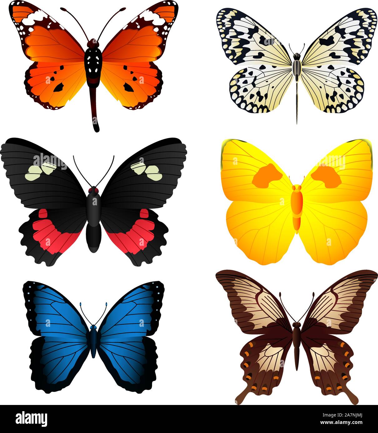 Six belles collection papillons colorés, avec papillon orange et noir, noir et blanc, papillon papillon noir et rose, jaune et orang Illustration de Vecteur