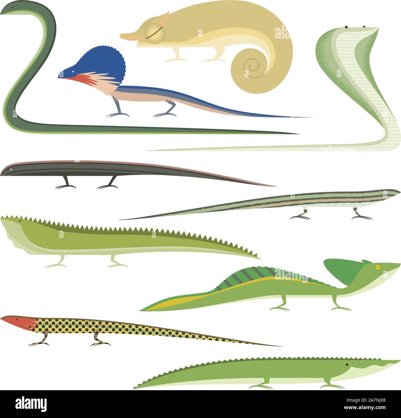 Caricature de Reptiles Reptiles types set Illustration de Vecteur
