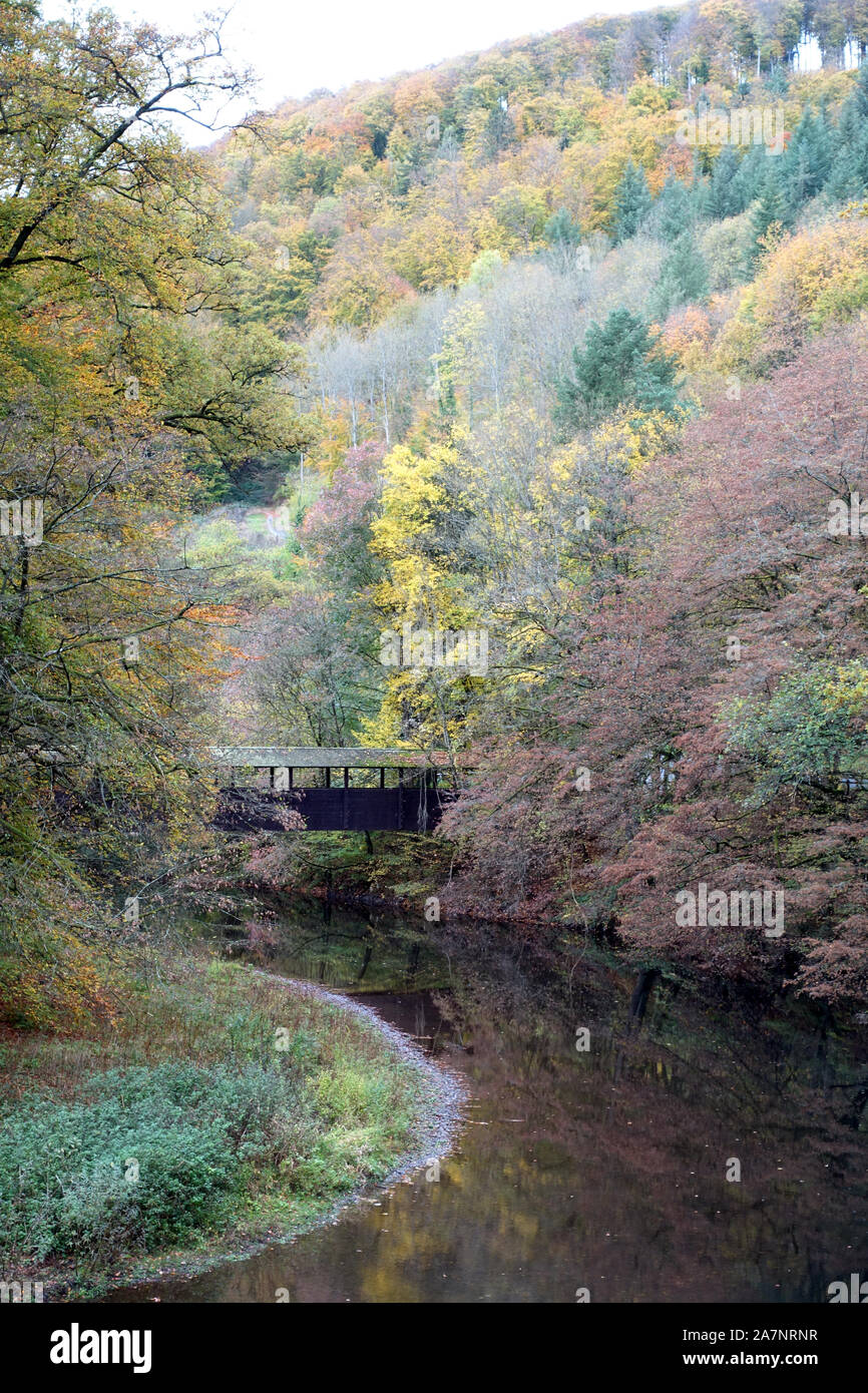 Herbstlicher Wald an der Wied nach der Wassermühle suis Laubach, Neuwied, Rheinland-Pfalz, Deutschland Banque D'Images