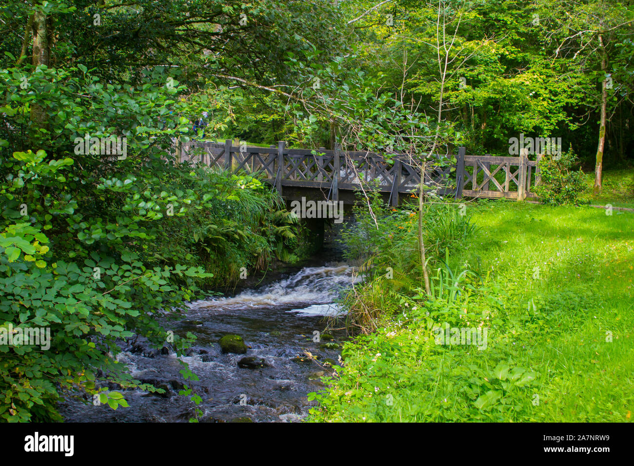 23 août 2019. Le petit pont sur la rivière à l'exécution rapide cascade Glencar site dans le comté de Sligo en Irlande. Le Glen est un lieu de prédilection pour les Banque D'Images