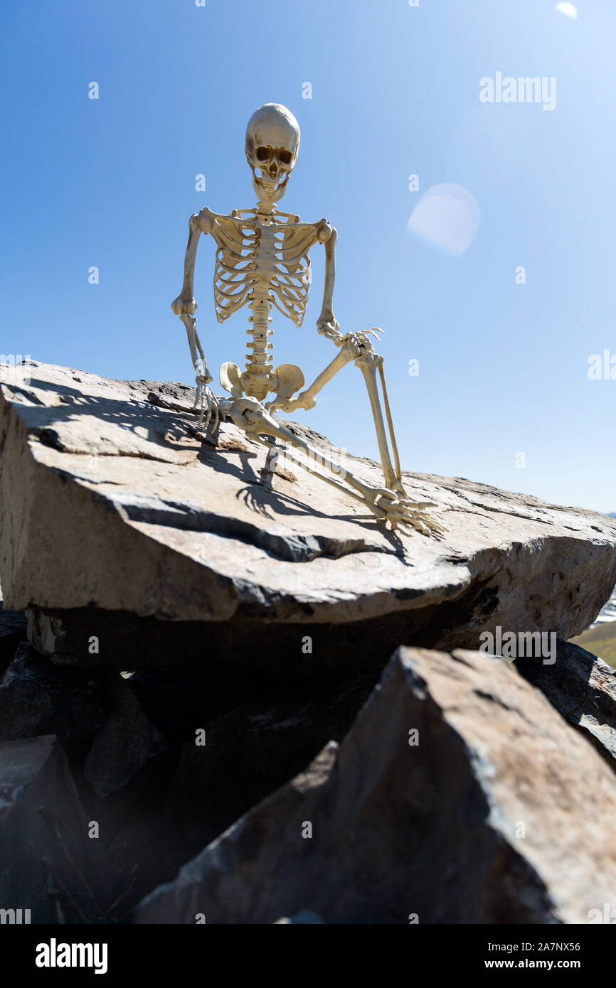 Squelette assis sur des rochers dans le désert avec un beau ciel bleu Banque D'Images