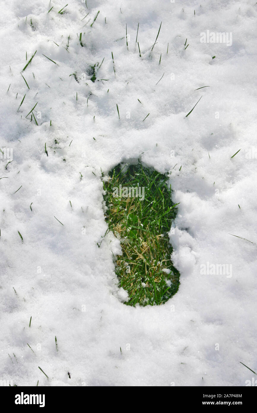 Gros plan d'une empreinte de chaussure dans la neige peu profonde révélant un patch en forme de l'empreinte de l'herbe verte montrant à travers Banque D'Images