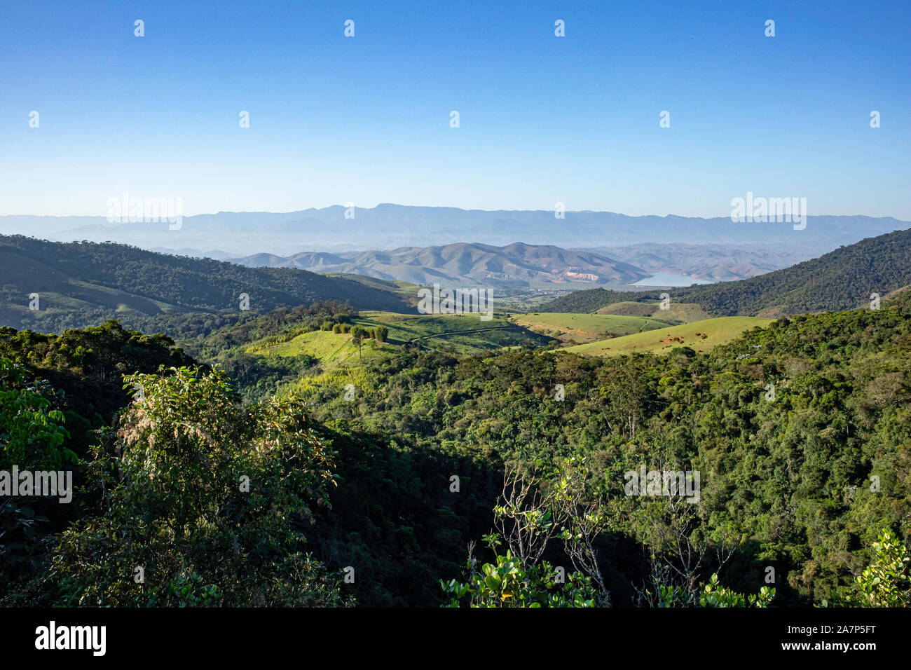 Sur la montagne de Parc National d'Itatiaia, Brésil Banque D'Images