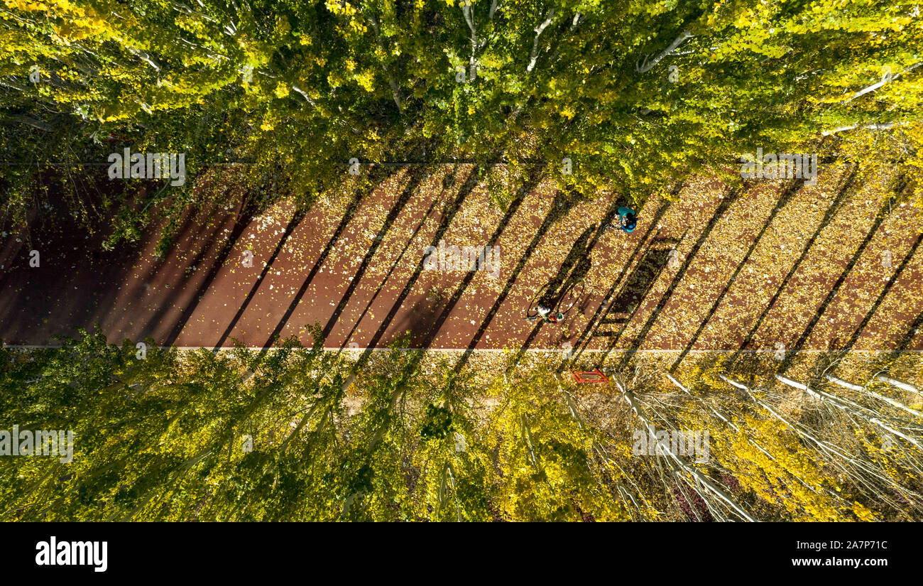 Beijing, Chine. 26Th Oct, 2019. Photo aérienne prise le 26 octobre 2019 présente le décor de l'automne de Phoenix Park à Yinchuan, capitale de la Chine du nord-ouest de la région autonome du Ningxia Hui. Credit : Feng forestiers/Xinhua/Alamy Live News Banque D'Images