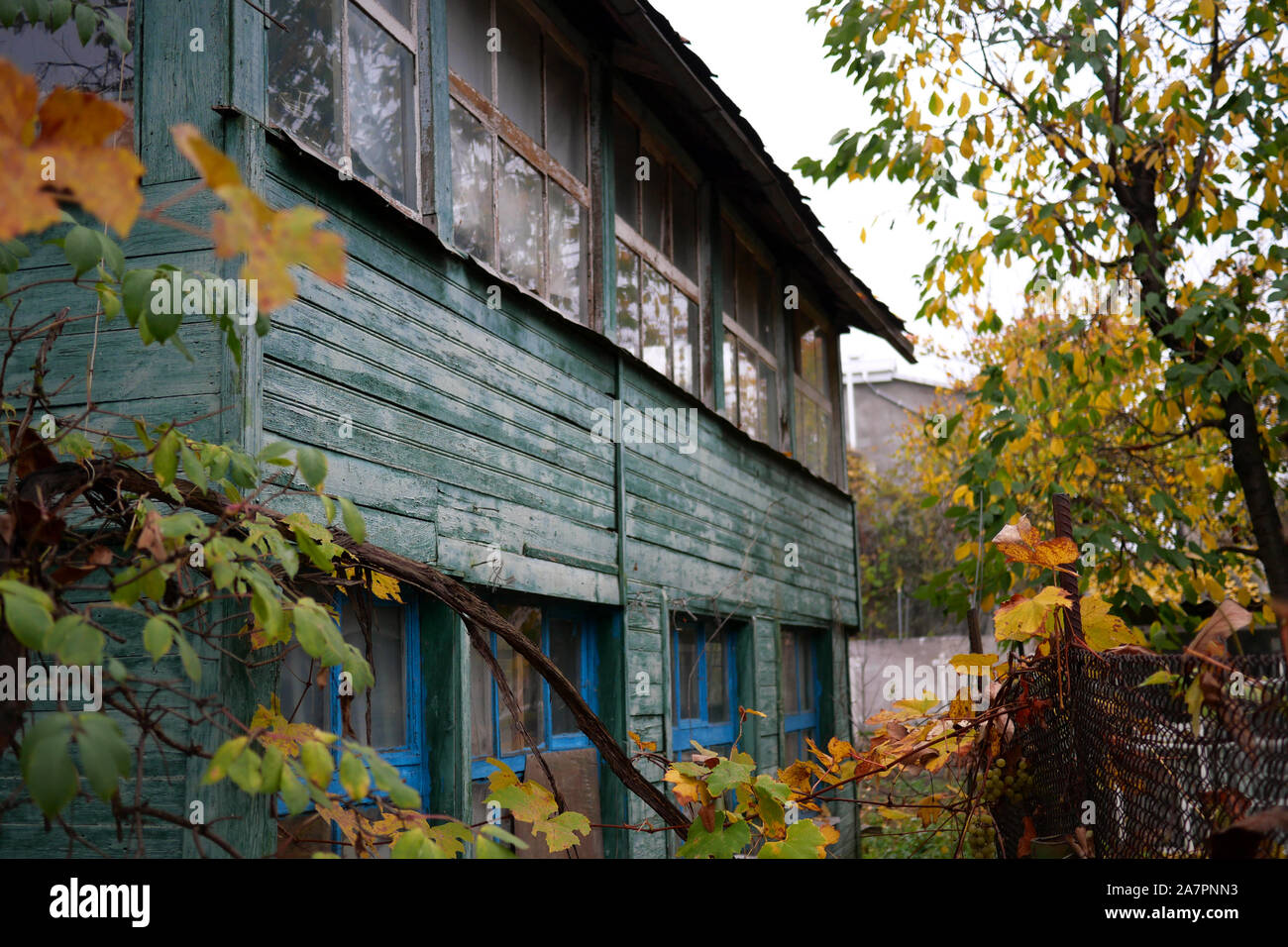 Abandonné, ruiné vieille maison en bois. Fenêtres et mur avec vieux toit endommagé avec peinture altérée. Close-up. À l'extérieur. Banque D'Images