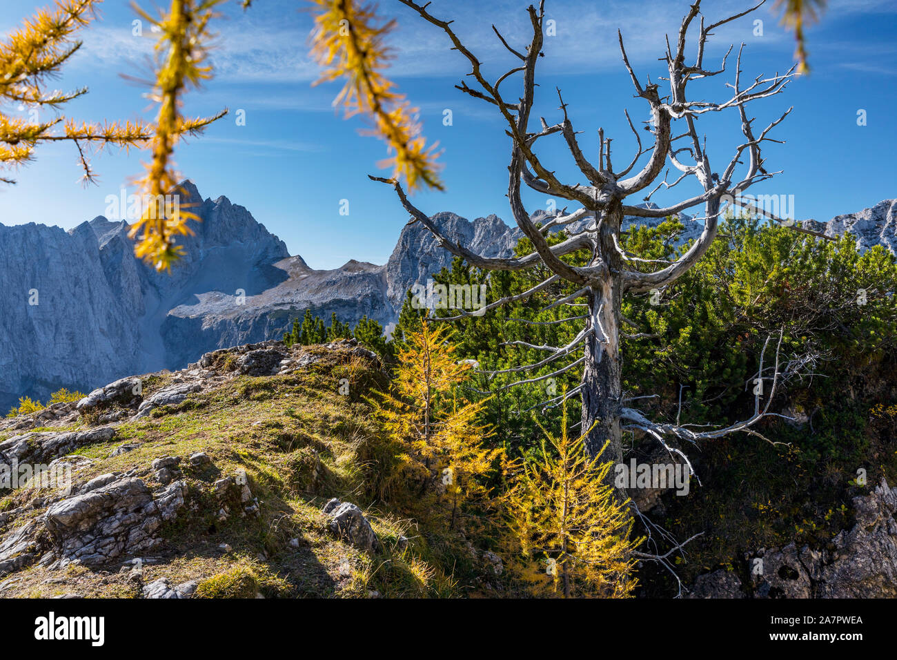 Jalovec mountaintop dans le dos, les Alpes Juliennes Banque D'Images