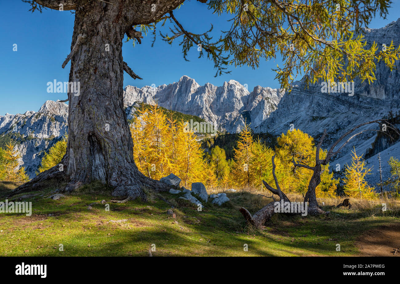 Alpes Juliennes en automne, les Alpes juliennes. Vue de Spik de Slemenova spica Banque D'Images