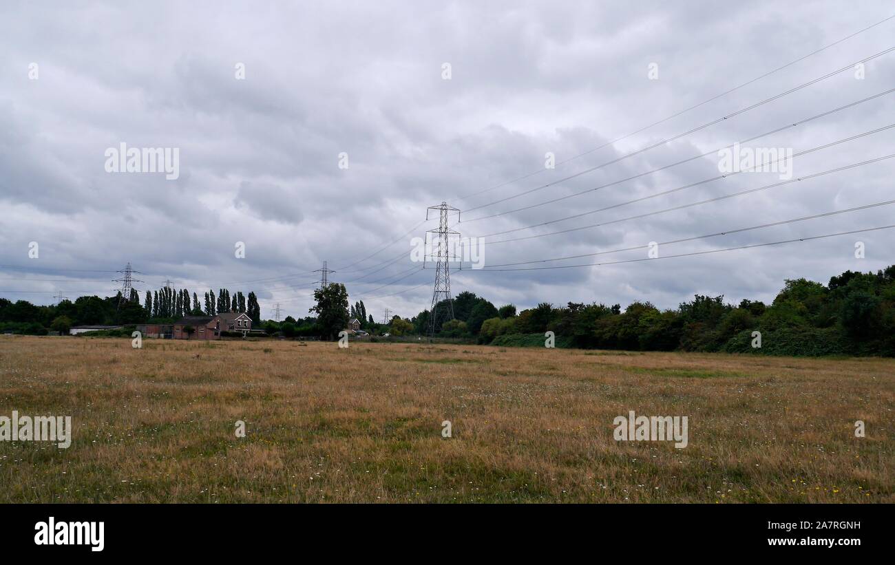 Courtes grumes Site commun d'intérêt scientifique spécial en Egham Surrey UK Banque D'Images