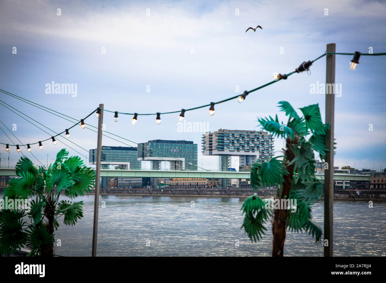 Vue depuis les rives du Rhin dans le quartier de Deutz, le pont Severins et la grue au port de maisons Rheinau, Cologne, Allemagne. Blick v Banque D'Images