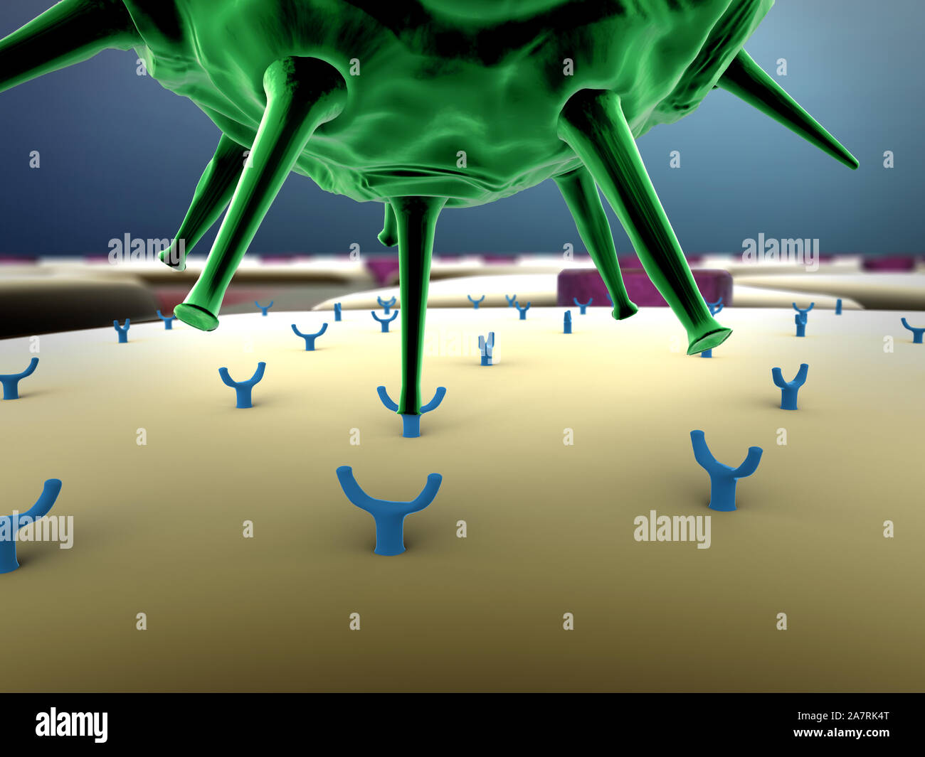 Domaine de cellules, les cellules de terrain avec les récepteurs, les droits de l'attaque du système immunitaire le virus, virus et les récepteurs close-up Banque D'Images