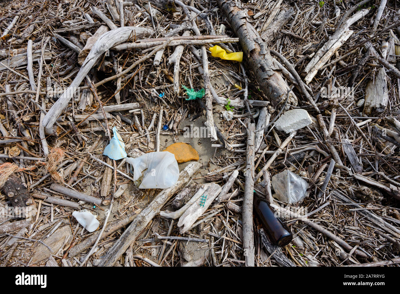 La pollution plastique dans les débris de bois de dérive sur l'océan plage Banque D'Images