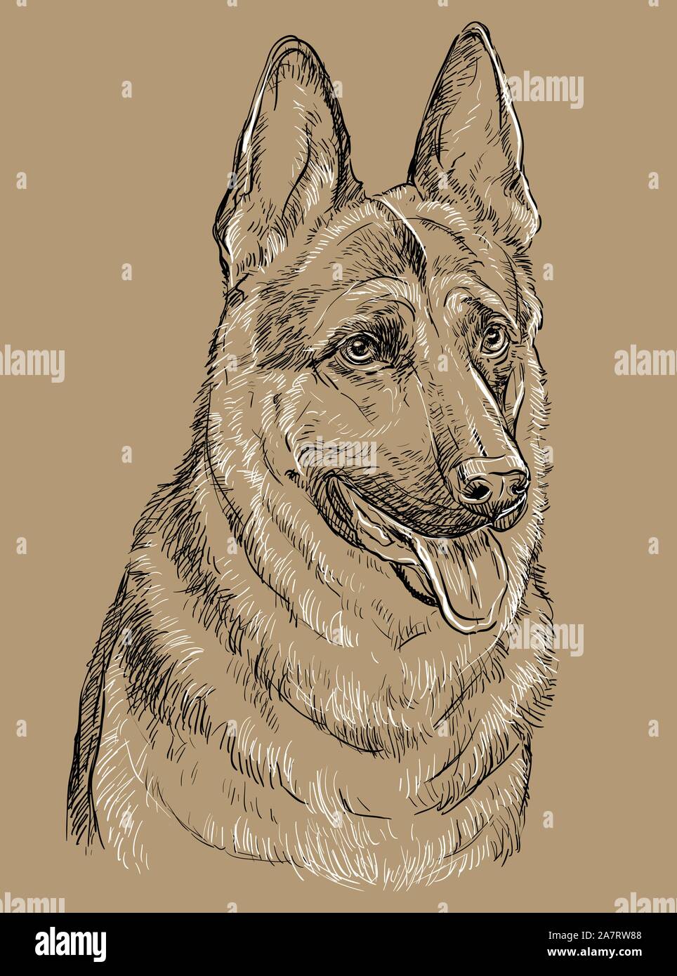 Berger Allemand main vecteur illustration de dessin en noir et blanc isolé sur fond beige Illustration de Vecteur