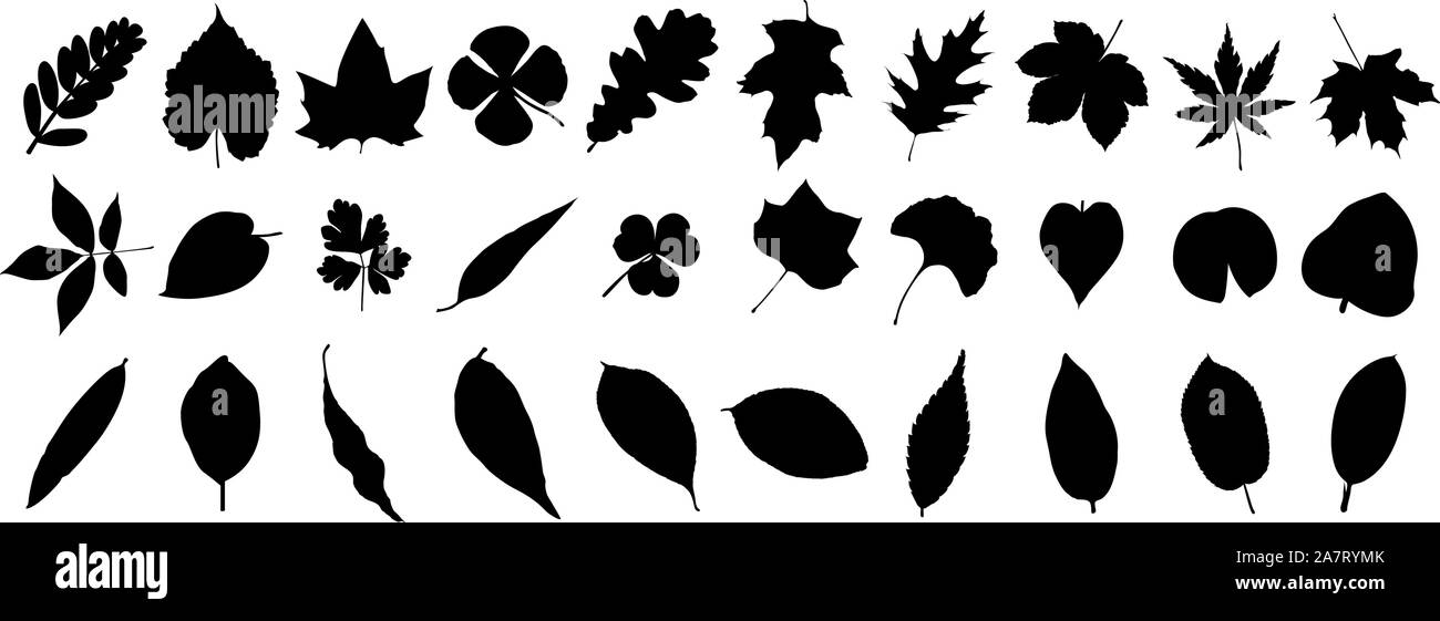 Chute des feuilles simples silhouettes saison Illustration de Vecteur
