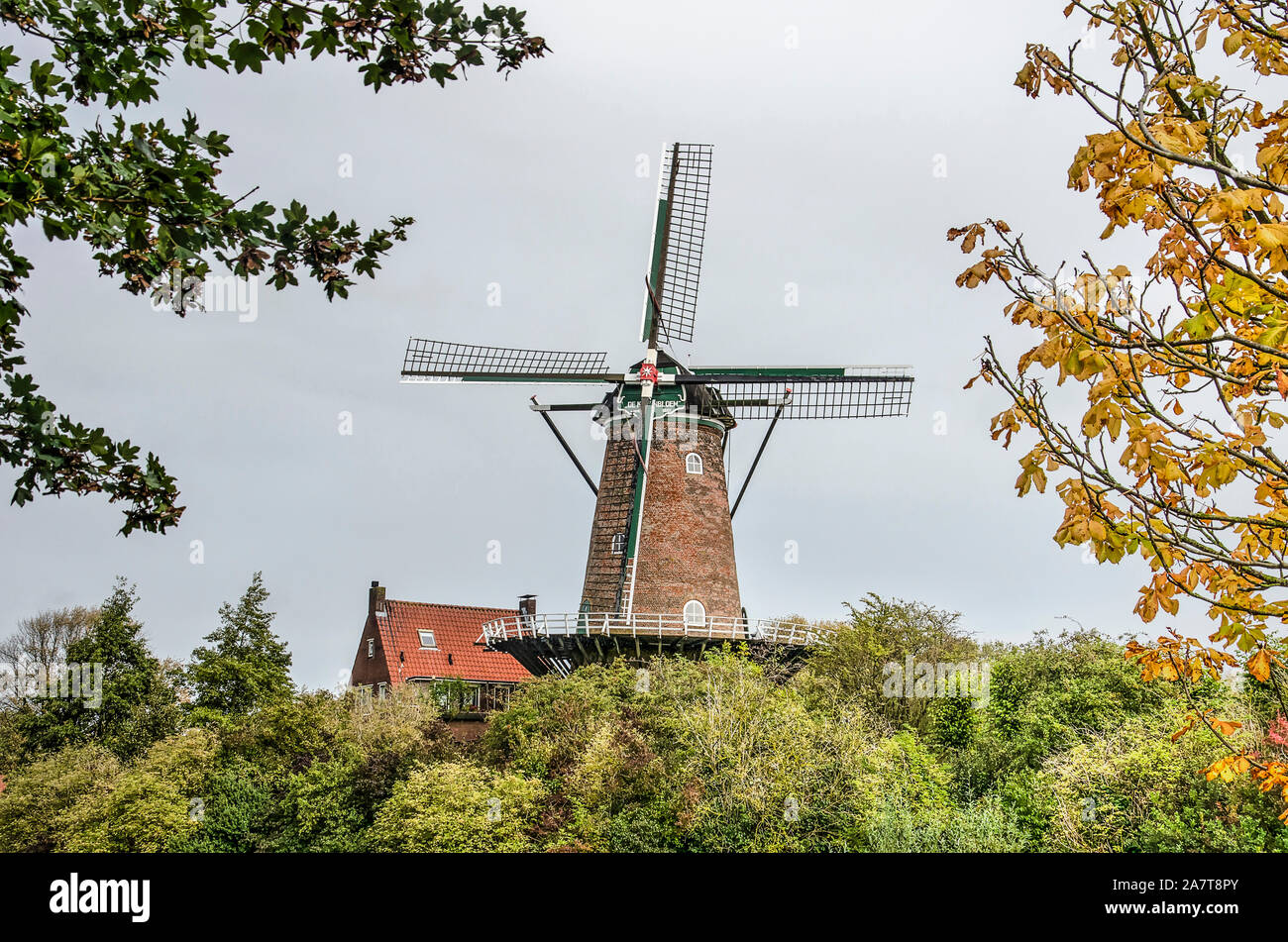 Va, les Pays-Bas, le 9 octobre 2019 : Moulin De Koornbloem (le bleuet) entouré d'arbres en couleurs d'automne Banque D'Images