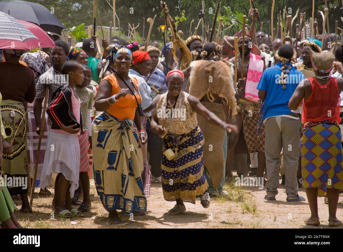 Une foule de Zulu, hommes, femmes et enfants dansent et chantent pendant la Tembe Festival Marula, KwaZulu-Natal, Afrique du Sud. Banque D'Images