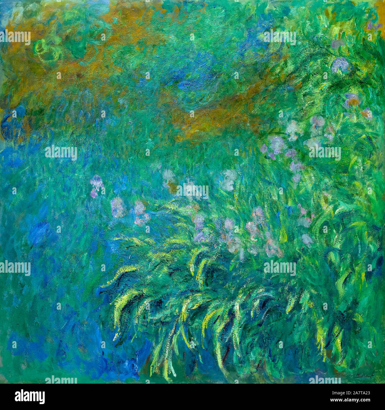 Claude Monet, Iris, peinture, 1914-1917 Banque D'Images