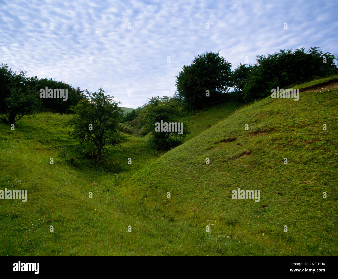 Voir le produit n de Tomen y Rhodwydd motte et Bailey, château Llandegla, Denbighshire, Wales, montrant SW rempart de la Bailey (R) avec son fossé et extérieurs à la banque. Banque D'Images