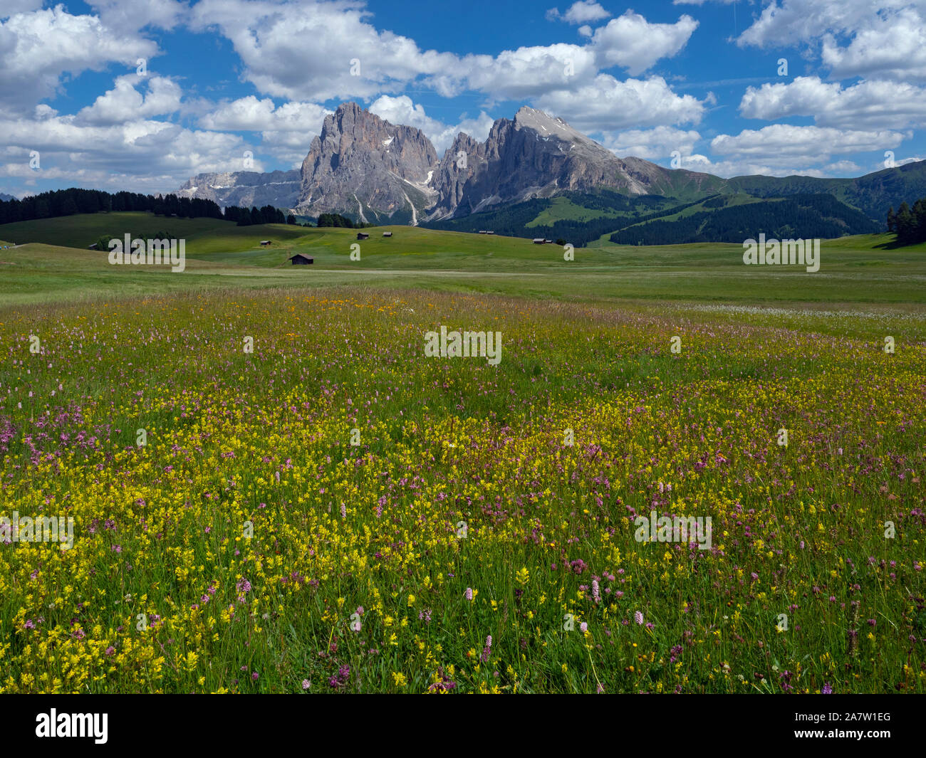 Siusi Dolomites plus grand plateau pré alpin dans les montagnes de l'Europe Groupe Langkofel en arrière-plan Banque D'Images