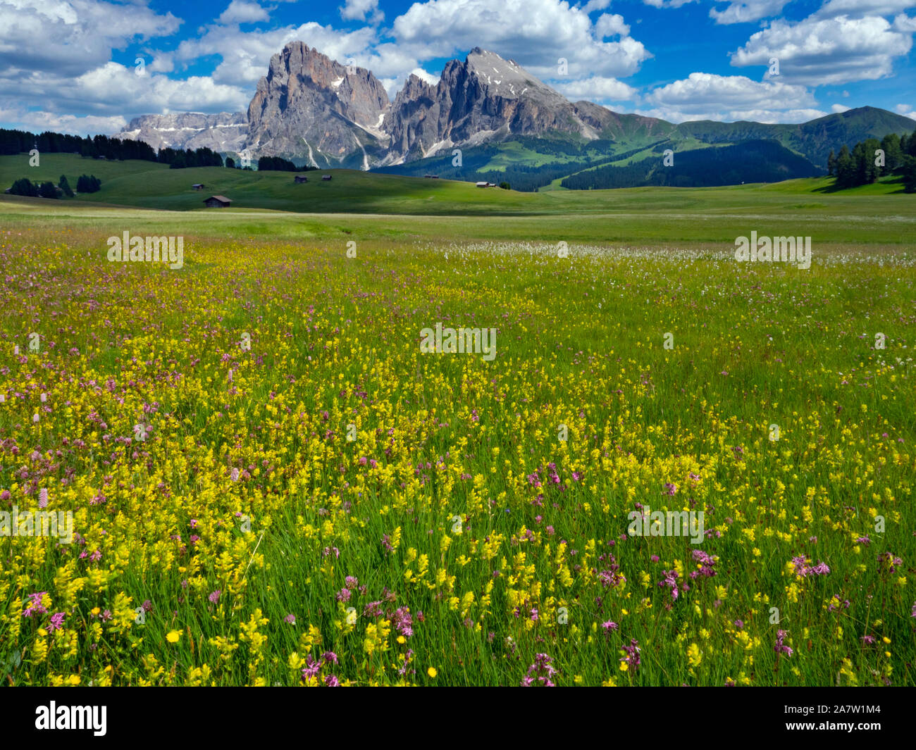 Siusi Dolomites plus grand plateau pré alpin dans les montagnes de l'Europe Groupe Langkofel en arrière-plan Banque D'Images
